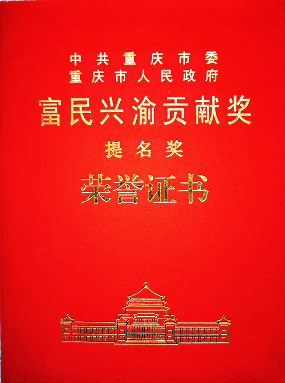 华森制药党委书记、董事长游洪涛荣获“富民兴渝贡献奖”提名奖！(图2)