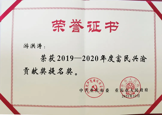 华森制药党委书记、董事长游洪涛荣获“富民兴渝贡献奖”提名奖！(图3)