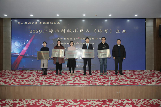 上海繁易荣获双项小巨人荣誉，打造创新型科技企业