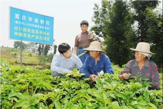 2021中国中医药企业家论坛在上海盛大召开，华森制药荣获两项大奖