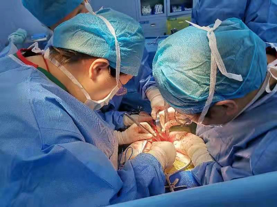 成功“拆弹”！上海大学附属孟超肿瘤医院妇科完成一例子宫广泛性