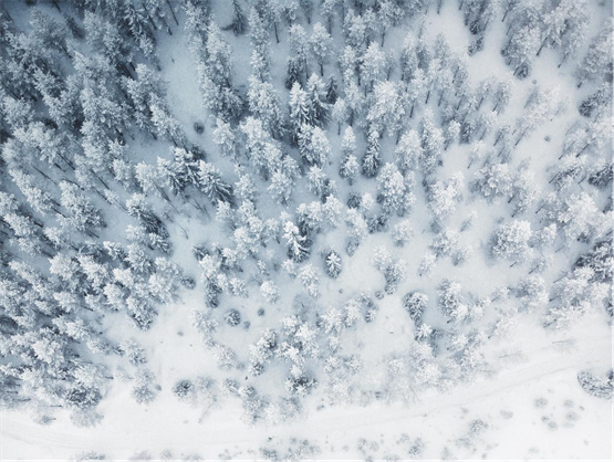 雨雪天气，雪莲养生葡萄酒通补兼顾温暖身心