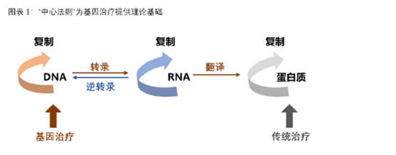 昭衍·讲堂 基因治疗主题系列：从CDMO到临床检测，CGT疗法的希望、挑战和未来