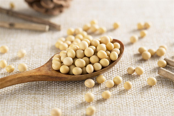 永和豆浆为营养健康赋能，给品质生活添彩