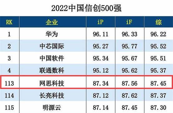 国产品牌强势崛起，网思科技荣登中国信创500强