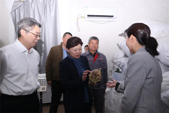 国家药监局、新疆维吾尔自治区药检院赴新疆天山雪莲制药有限公司调研