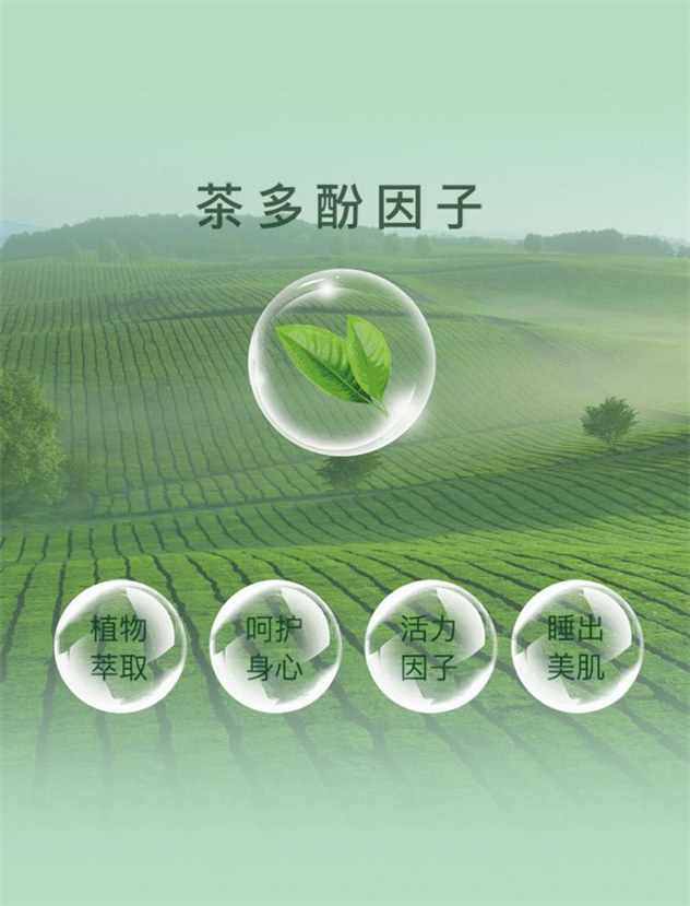 天然活力茶香沁人，博洋家纺中国茶系列专注守护健康好眠