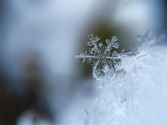 冬天到了，是时候喝一杯雪莲养生葡萄酒了