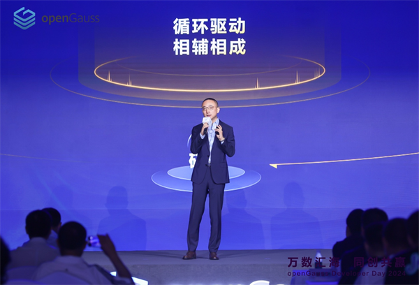 数智时代，共赢未来！海量数据参与openGauss Developer Day 2024圆满落幕