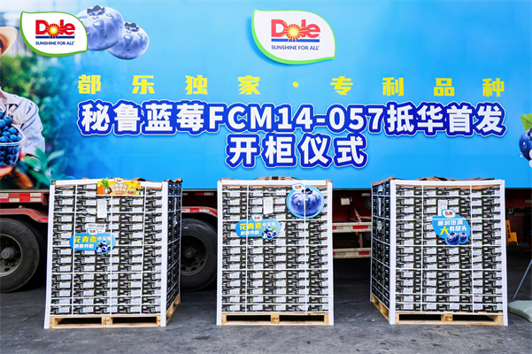 都乐首柜秘鲁蓝莓FCM14-057品种抵华，革新高端水果市场