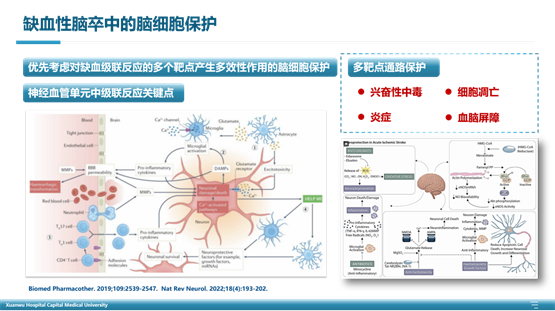聚焦 2025 NCN：多靶共治，中西协同，全程守护脑卒中患者健康！