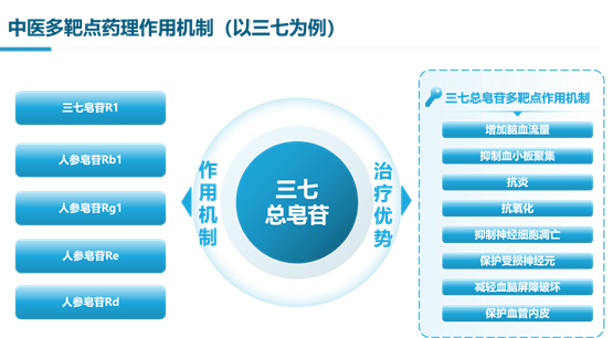 聚焦 2025 NCN：多靶共治，中西协同，全程守护脑卒中患者健康！