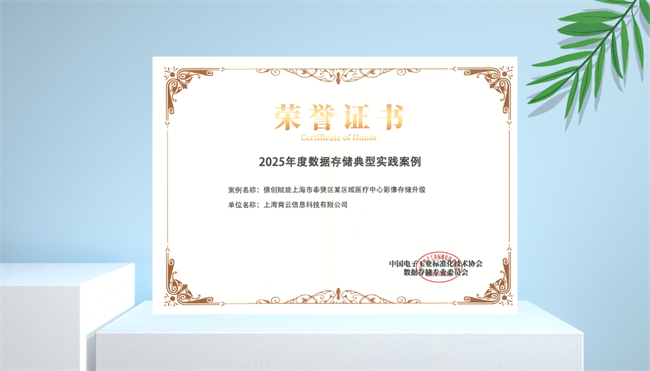 重磅!霄云科技信创医疗方案荣膺2025年度数据存储典型实践案例