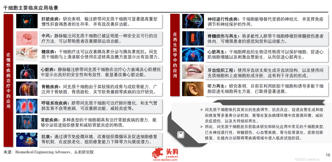 2025年中国干细胞行业发展现状及趋势洞察行业研究报告