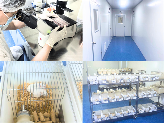 云克隆自研高质量抗体，助力全球科研与体外诊断