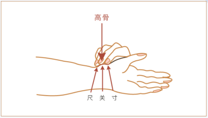 知医邦公布AI中医脉诊量表，人人都能学会把脉，完全不需要脉象仪