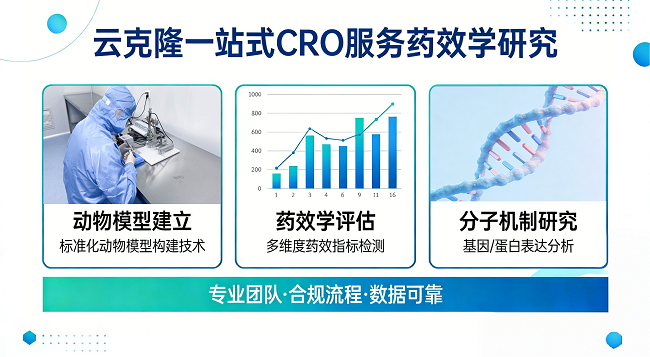 武汉云克隆“全链条”CRO服务：解锁脑部疾病新药研发新路径