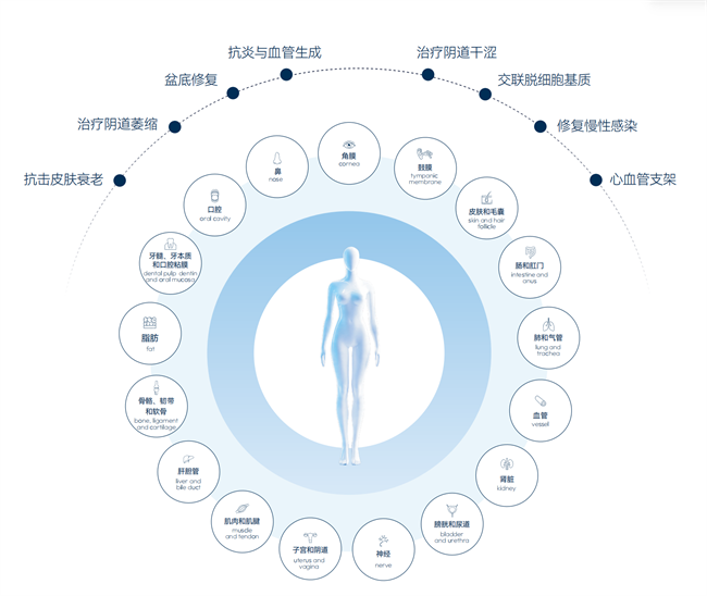 从16488°到28型生命版图:锦波生物金奖背后的结构科学(图4)